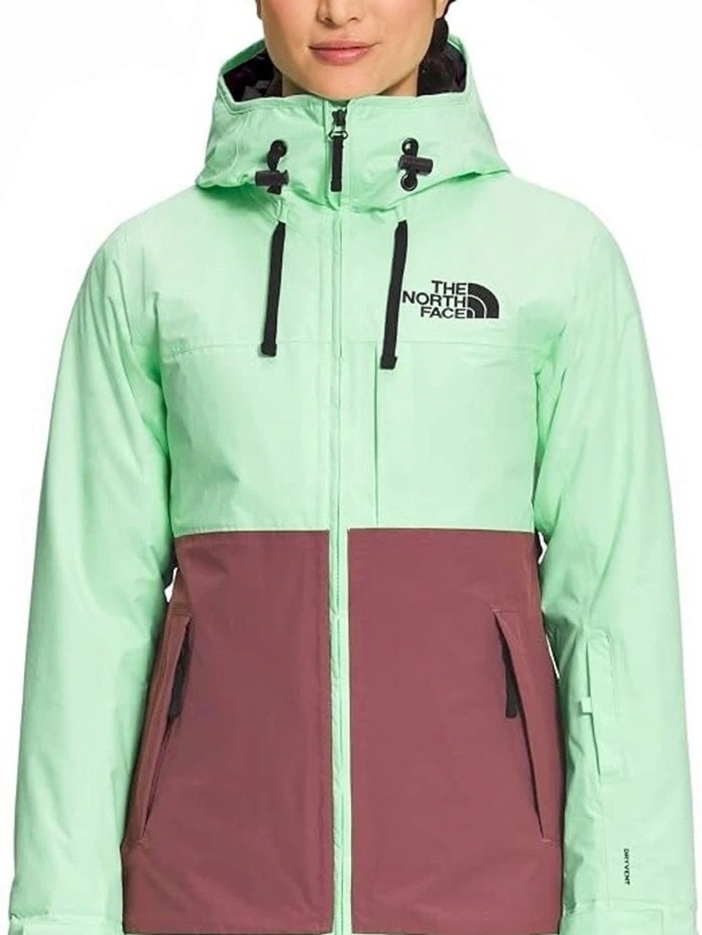 The North Face Ski/snow Jacket